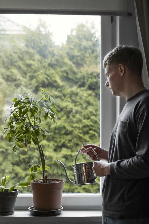 Jeune homme arrosant des plantes d’intérieur, contribuant à l’amélioration de la qualité de l’air domestique