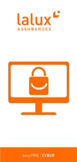 Lalux Document Img Alt